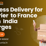 Express Delivery for Courier to France from India