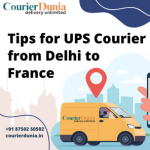 Reliable UPS Courier from Delhi to France – Courier Dunia