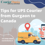 Reliable UPS Courier from Gurgaon to Canada – Courier Dunia