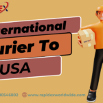 International Courier Charges to USA with Rapidex Worldwide Express: Fast and Affordable