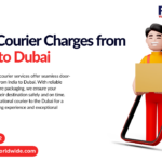 Best Courier Charges from India to USA