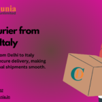 DHL Courier from Delhi to Italy