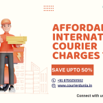 Affordable International Courier Charges to USA