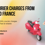 Best International Courier Services in Patna | Fast & Affordable