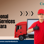Best International Courier Services in Vadodara | Fast & Affordable