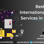 Which is the Best International Courier Services in Ludhiana