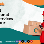 Best International Courier Services in Jaipur | Safe and Secure