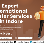 Expert International Courier Services in Indore – Speed and Reliability