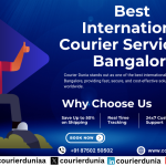 Best International Courier Services in Bangalore |  A Complete Guide
