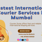 What are the Fastest International Courier Services in Mumbai?