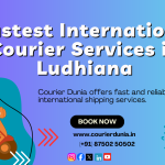 International Courier Services in Ludhiana